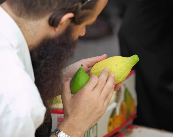 An orthodox Jew picks — Stock Photo, Image