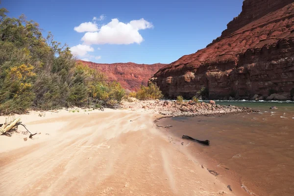 Fiume Colorado — Foto Stock