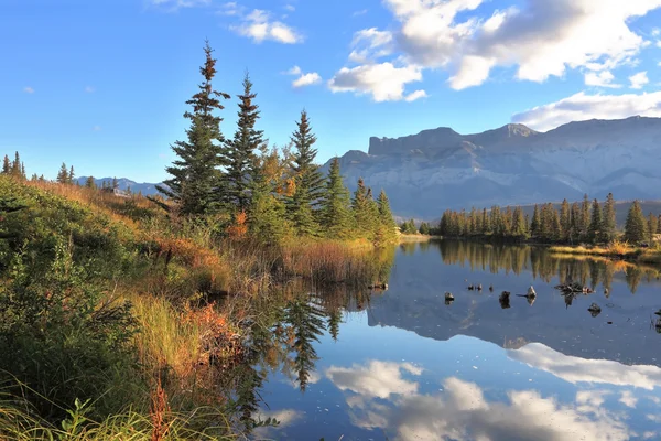 Solig morgon i jasper national park, Kanada — Stockfoto