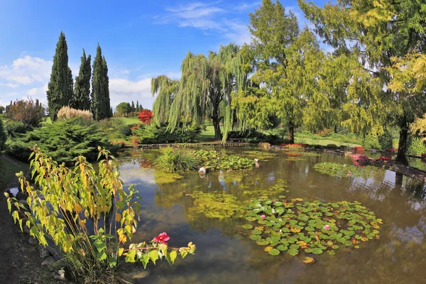 El estanque rodeado de arbustos de colores — Foto de Stock