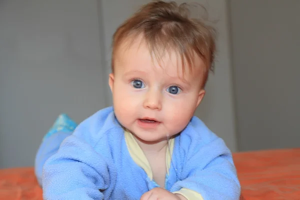 Bebê adorável em um terno azul — Fotografia de Stock