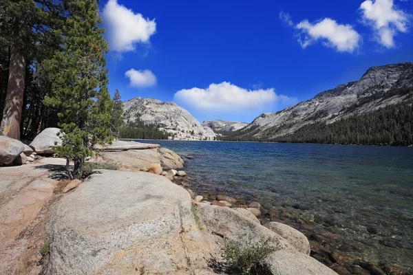 A shallow lake in a hollow — Stock Photo, Image