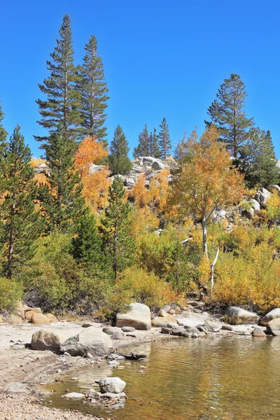 The shallow lake — Stock Photo, Image