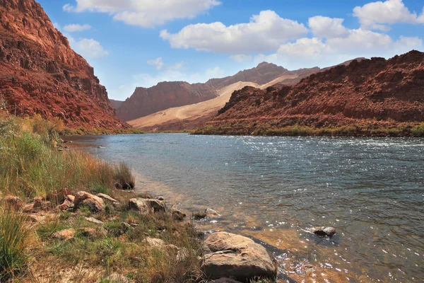 Il fiume Colorado tra le ripide montagne — Foto Stock