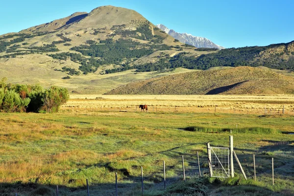 Charming green valley in Perrito Moreno's — Stock Photo, Image