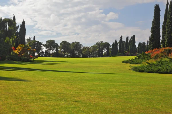 Charming green grassy lawns — Stock Photo, Image