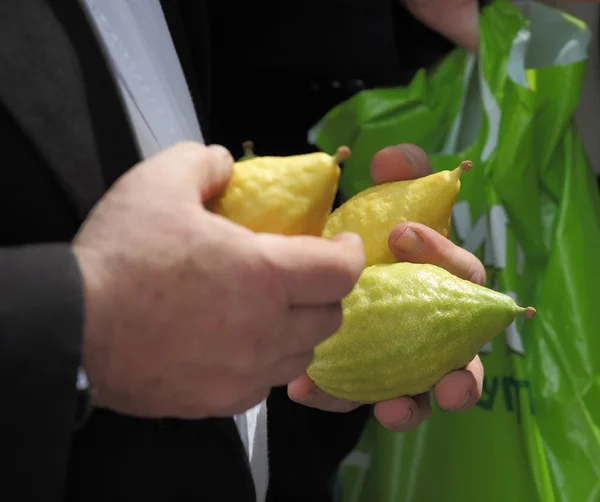 Le mani maschili tengono un frutto di cedro rituale — Foto Stock