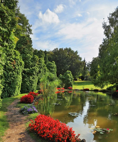 En damm och röd blomma sängar — Stockfoto