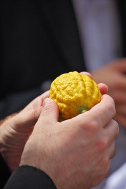 The man's hands hold a ritual fruit a citrus clipart
