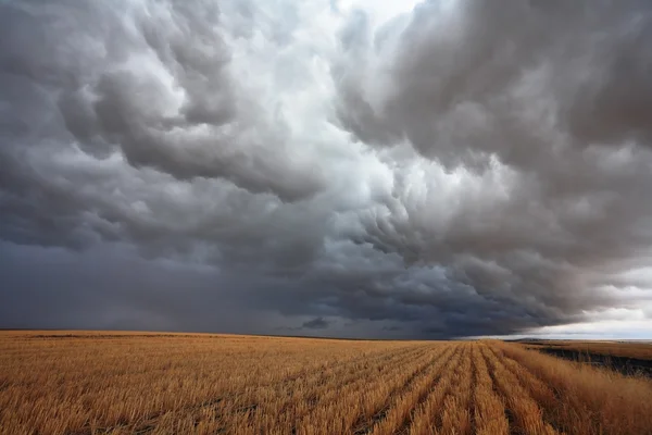 A enorme nuvem de tempestade cobriu o céu — Fotografia de Stock