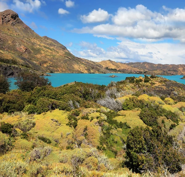 Yellow and green hilly lakeside Pehoe — Stock Photo, Image