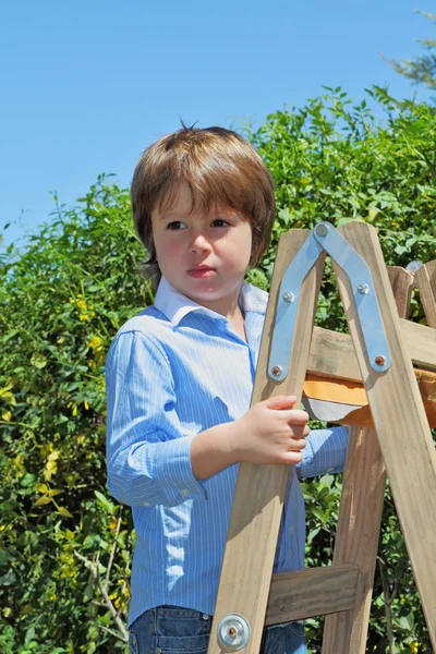 De prachtige groene-eyed jongen verwend door aandacht — Stockfoto