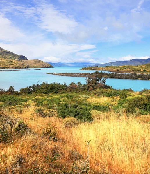 Het groene water van de rivier onder de gele bank — Stockfoto