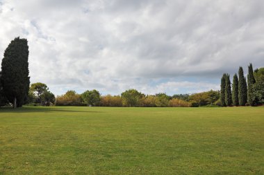 Büyük yeşil bir alan. 
