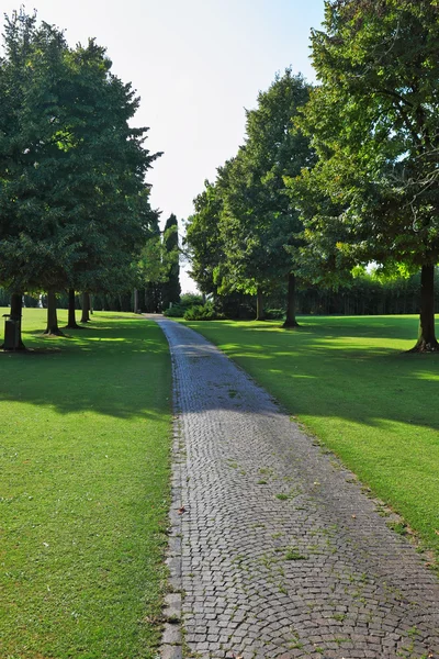 Comfortable path through the  lawn — Stock Photo, Image