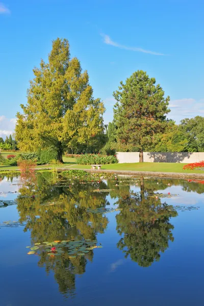 Slanke bomen worden weerspiegeld in de vijver — Stockfoto