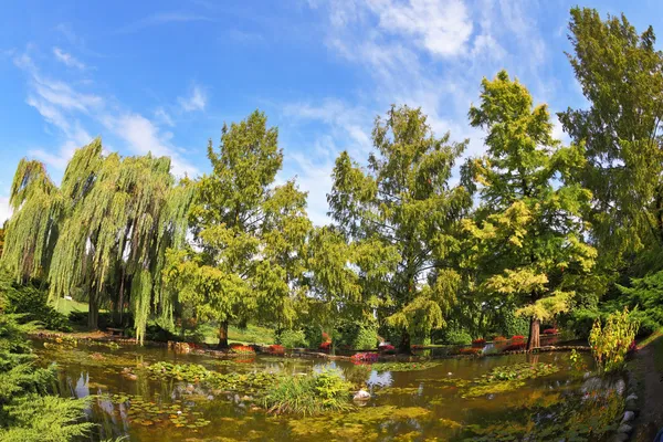 A pond  photographed by Fisheye lens Stock Photo