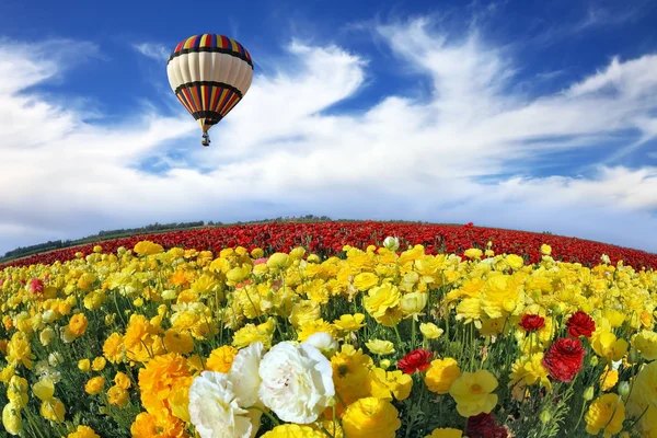 Wunderbare Frühlingsstimmung — Stockfoto