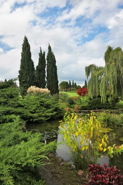 Decoratieve vijver, bloemen en bomen — Stockfoto