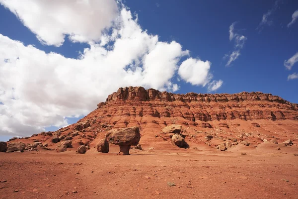 Magnificent American  desert