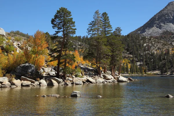 Soft American autumn — Stok fotoğraf