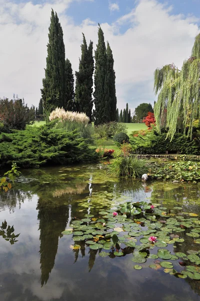 Jardín Sigurta, ciprés y lirio —  Fotos de Stock