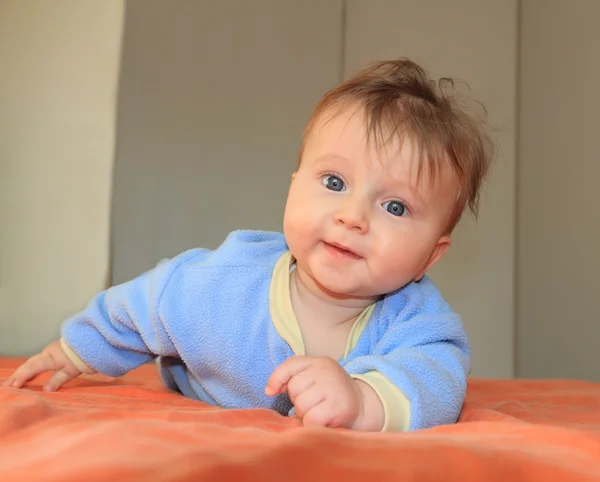 Dört mavi gözlü bebek — Stok fotoğraf