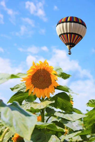 Grande balão voando sobre o campo — Fotografia de Stock
