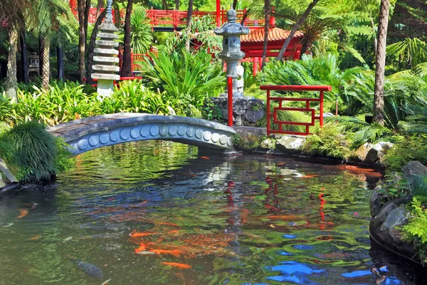 In the depths of the park is visible Chinese gazebo — Stock Photo, Image