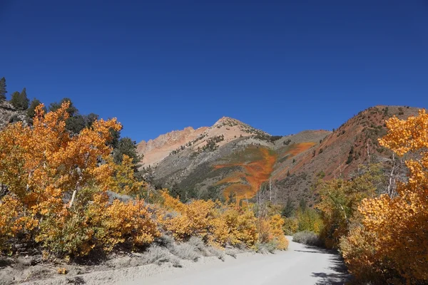 カリフォルニアの山 — ストック写真