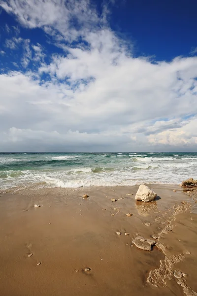 Areia molhada na praia — Fotografia de Stock