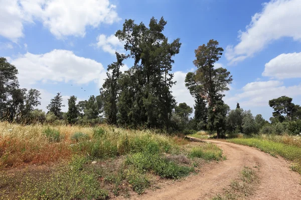 Rural road — Stock Photo, Image