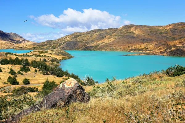 Het park torres del paine - Smaragd-groene water — Stockfoto