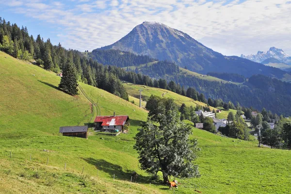 Swiss Chalet — Stok fotoğraf