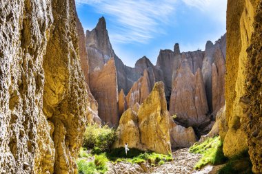  Dar geçitlerle ayrılmış sırtlar. Clay Uçurumları karanın doğal oluşumlarıdır. Omarama, Güney Adası, Yeni Zelanda. Egzotik, aşırı, doğal ve fotoğraf turizmi kavramı