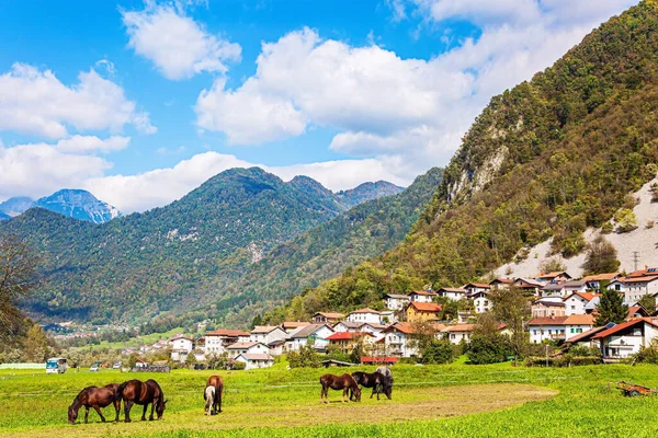 Malerische Julische Alpen Kleines Dorf Gebirgstal Schöner Herbsttag Charmant Pastoral — Stockfoto