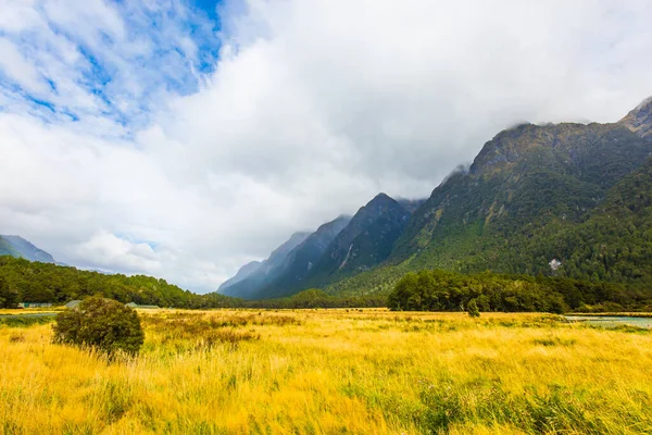 ミルフォードサウンドへの未舗装道路 黄色い草の畑が霧の中の山に囲まれています ニュージーランドの南の島 南極に近い 極端な観光の概念 — ストック写真