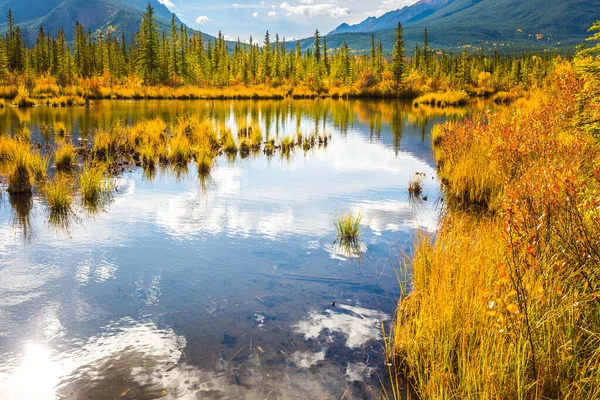 在黄色的秋天的草地 桦树和白杨树之间的弗米隆湖 落基山脉的印度夏天 加拿大美丽的风景 摄影旅游的概念 — 图库照片