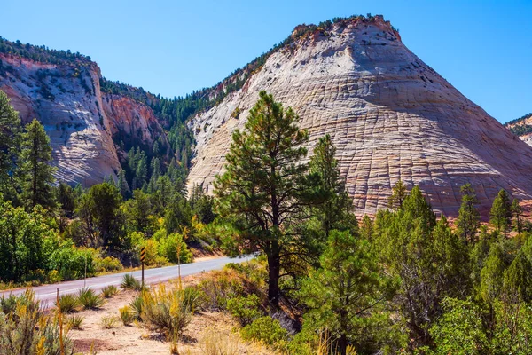 Usa Den Magnifika Flerkilometerskanjonen Zion Den Röda Sandstenen Navajo Asfalterad — Stockfoto