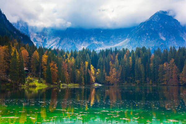 Magnificent colors of autumn. Lake Fuzine in Northern Italy. The Dolomites are covered with clouds. Orange and yellow trees are reflected in the green smooth water. 