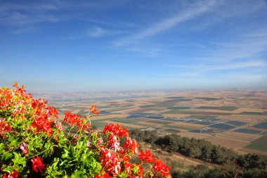  Güzel İsrail. Jezreel Vadisi batan güneşle aydınlanır. Kibbutz tarlaları ve su kaynakları. Kırmızı çiçekli muhteşem çiçek tarhı. Kuş bakışı görünüm.