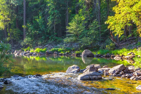 Skogsbäck Charmig Yosemite Valley Den Skuggiga Skogen Reflekteras Vattnet Yosemite — Stockfoto