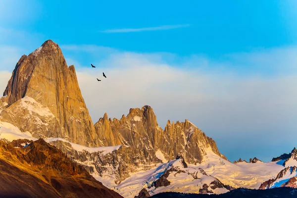 Enormes Cóndores Andinos Vuelan Cielo Magnífica Cordillera Iluminada Por Amanecer —  Fotos de Stock