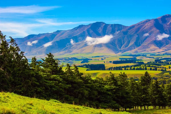 Prachtig Mooi Nieuw Zeeland Schilderachtige Vallei Tussen Hoge Bergen Reis — Stockfoto