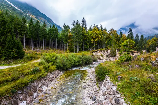 Creek Valley Lake Del Predil Stream Bed Lined Smooth Stones — Stock Photo, Image