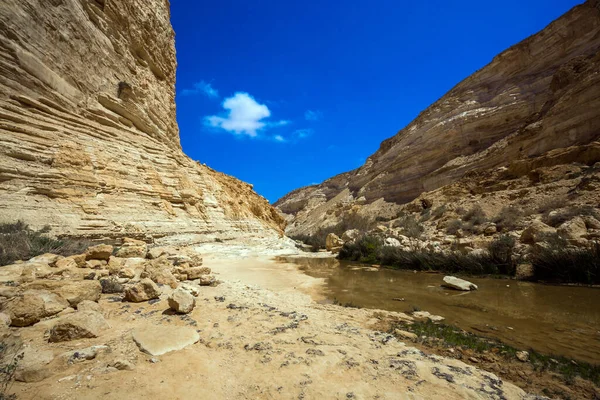 峡谷是内盖夫沙漠中最美丽的峡谷 天空在水中反射 峡谷的墙壁被山洞腐蚀了 这条峡谷是青江畔形成的 — 图库照片