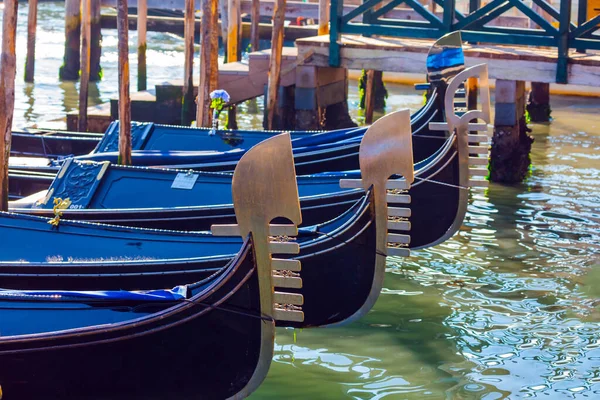 宏伟的贡多拉在大运河上提供了浪漫的漫步 威尼斯阳光灿烂的早晨 去威尼斯的神奇旅程积极旅游 文化旅游和摄影旅游的概念 — 图库照片