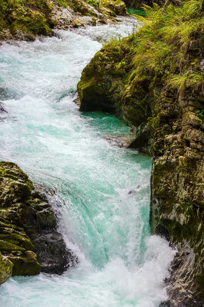 Eslovenia Pintorescas Cascadas Burbujeantes Rápidos Río Montaña Radovna Garganta Vintgar — Foto de Stock