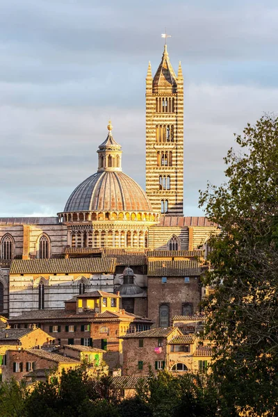 Sienas Katedral Duomo Sienas Gamla Stadskärna Solnedgång Italien Viktiga Konstnärliga — Stockfoto