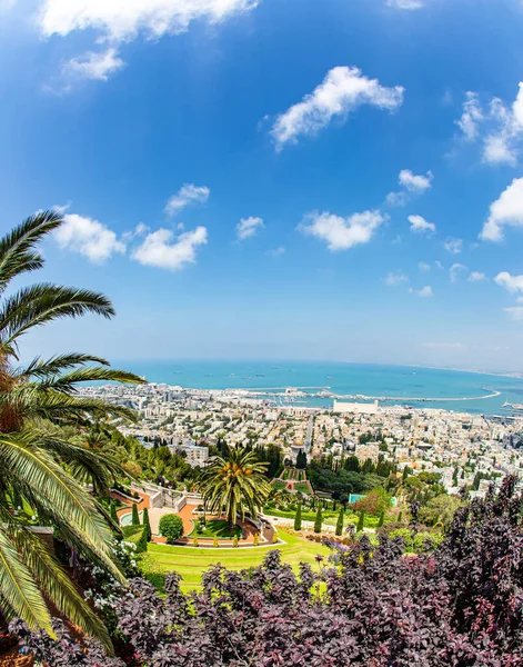 Israel Haifa View Mount Carmel International Seaport Haifa Descent Mediterranean — Stock Photo, Image